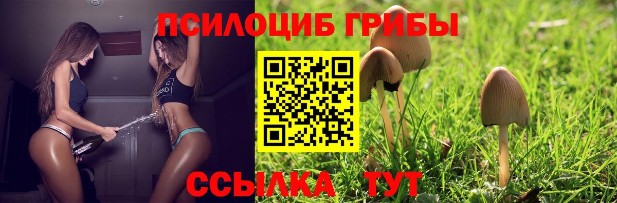 Касимов  Галлюциногенные грибы Cubensis  Вход с VPN  Галлюциногенные грибы Psilocybine cubensis 